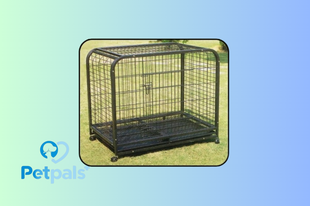 Kandang Anjing Knock Down D232A 109 x 72 x 94 cm